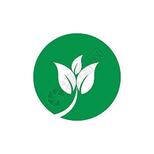 绿叶原木生物生活叶子环境绿色生态插图热带农场商业背景图片