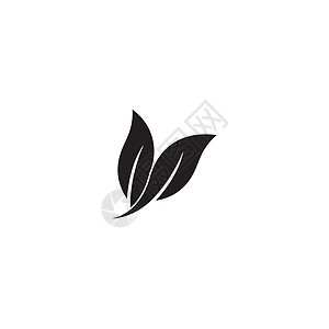 树叶图标徽标矢量生态植物群回收药店标签发芽叶子薄荷蔬菜生物图片
