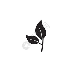 树叶图标徽标矢量叶子植物群生态药店标签植物蔬菜环境生物发芽图片