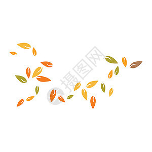 秋叶背景橙子树叶植物棕色森林白色黄色插图红色季节图片
