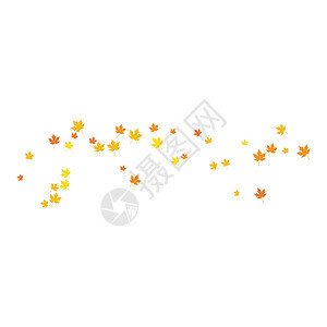 秋叶背景黄色植物白色季节树叶飞行红色棕色叶子橡木图片