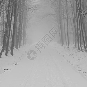 有汽车的多雪的冬天路 冬天在山区驾驶危险的汽车 交通 汽车和旅行的概念道路山脉天空安全季节场景街道暴风雪森林车辆图片