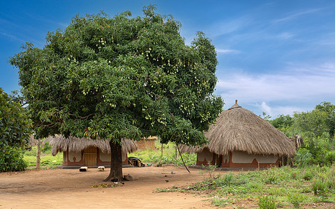 乌干达 东非 乌干达村村图片