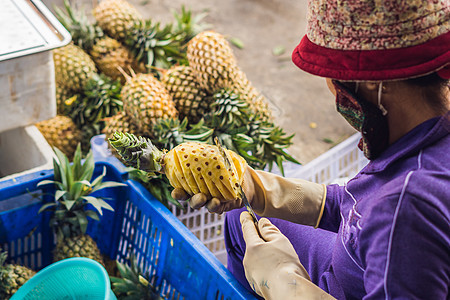 一位越南女性在越南市场清洁菠萝 亚洲菜的理念是“中国菜”图片