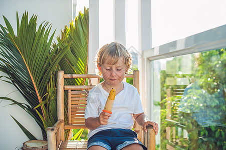 可爱的小金发男孩 吃自制冰淇淋坐在木椅上图片
