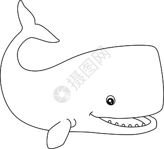儿童孤立的Sperm 鲸鱼彩色页面图片