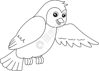 为孩子们孤立的鸟类颜色页面着色填色艺术插图羽毛荒野野生动物翅膀书页教育图片