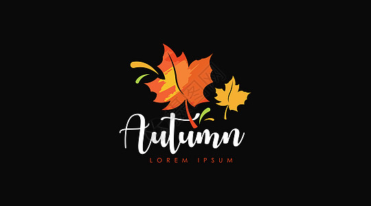 黑色背景中分离的秋天Logo设计概念矢量徽标插图植物树叶橙子载体创意植物学标识季节图片