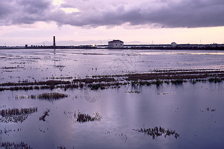 雨水淹没了稻田 用云播种感恩土地农田辐射风景天气日出阳光粮食脚印图片