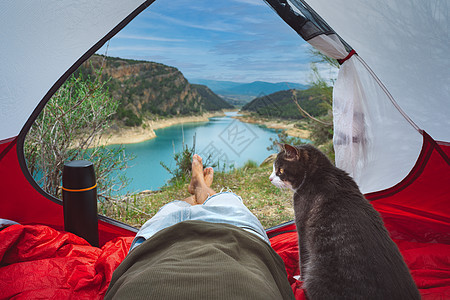 男人带着他可爱的猫在大自然中的帐篷里休息 带着宠物远足 猫和他的主人在一起玩得很开心 生活方式和友谊图片