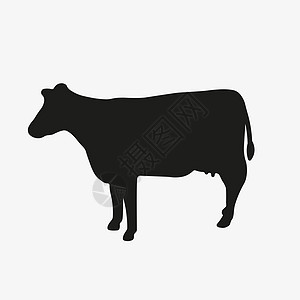 白色背景的母牛矢量图标图片