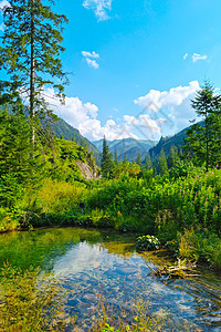 阳光灿烂的夏日景色闪耀的山岳风景图片