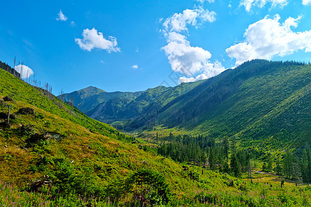 远足期间风景如画的山谷 与高山的美妙风景 美丽的自然背景 群山青山 假期户外旅行图片