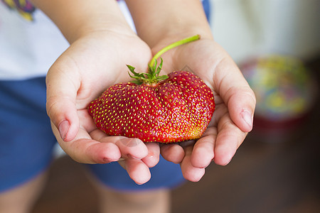 儿童手里有大片草莓农民植物甜点棕榈手指孩子水果孩子们花园食物图片