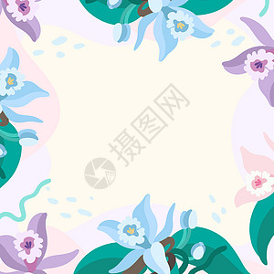由多彩花朵和花朵协调安排的空白框架装饰 空海报边框被多色布格环绕 组织得非常井然有序植物计算机花卉卡通片墙纸创造力图形图案粉色风图片