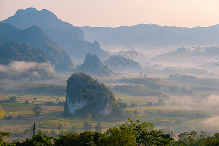 泰国北部的日出 Phu Langka 国家公园占地面积约为 31 250 Rai 位于分区森林国家旅行假期环境旅游岩石公园薄雾爬图片