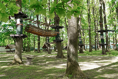 儿童探险乐园的桥梁 绳索和梯子是专为初学者在高大的树木之间的森林中设计的 在高处公园冒险攀岩 森林中的高空绳索路线行动挑战操场力图片