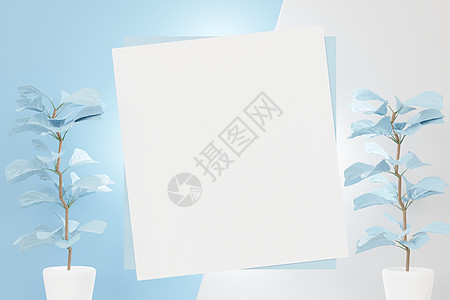 3d 将白色空白框的顶层视图用于模拟和显示蓝白面片场景的产品 创意概念横幅圆柱推介会帆布阴影植物展示化妆品棕榈树叶图片