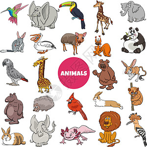卡通野生动物物种人物大 se红色漫画卡通片懒猴红衣插图哺乳动物刺猬鼠鹿松鼠图片