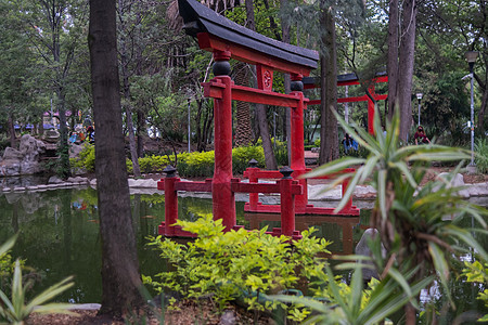 在公园的传统日本大门和池塘图片