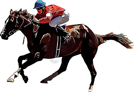 赛马和赛马骑手在赛马比赛中 孤立于白色背景骑士竞赛速度动物骑手展示赌注跑步杯子跑马场图片