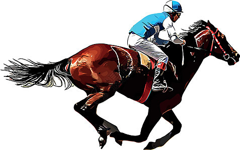 赛马和赛马骑手在赛马比赛中 孤立于白色背景速度骑士竞赛展示杯子动物良种赌注冠军跑步图片