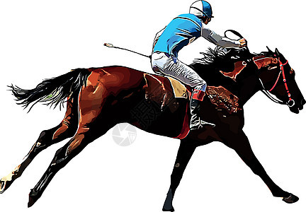 赛马和赛马骑手在赛马比赛中 孤立于白色背景动物良种马术跑步跑马场赌注竞赛骑士派对冠军图片
