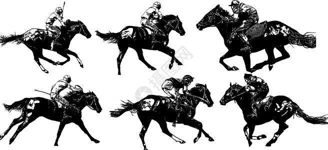 赛马和赛马骑手在赛马比赛中 孤立于白色背景跑马场展示骑士骑手速度运动赌注冠军动物杯子图片