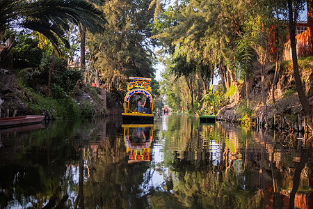 在Xochimilco湖的树木包围下 传统色彩多彩的悲剧图片