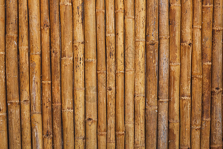 竹篱笆背景装饰栅栏管道枝条木头热带正方形园艺绑定花园图片