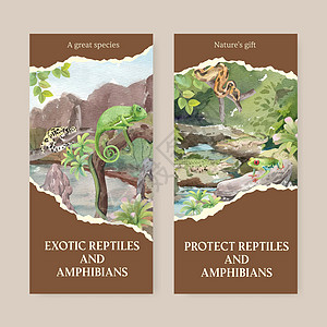 具有爬行动物和两栖动物概念 水色风格的飞板模板尾巴青蛙野生动物异国营销动物学情调动物群动物园卡通片图片
