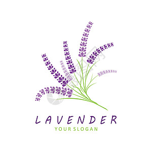 新鲜的淡紫花花徽标矢量平板设计标签花园标识紫色奢华绘画草本植物插图香水包装图片