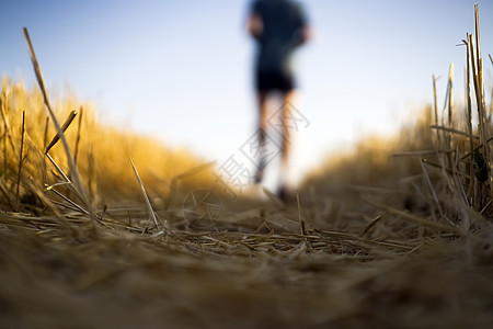 赛跑者清晨在户外训练男性冒险活力运动员草地自由火车慢跑者场地男人图片