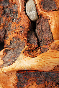纹理弯曲的棕色木质条 以纹理为背景异国风化水族馆海洋沼泽地漂移森林木头设计硬木图片