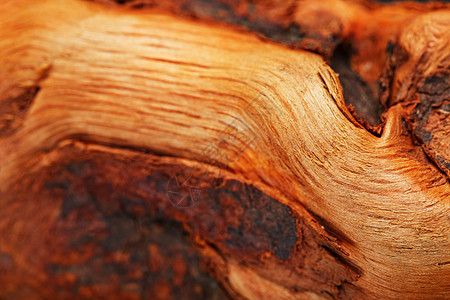 纹理弯曲的棕色木质条 以纹理为背景漂移硬木森林木材水族馆浮木遗产沼泽地风化异国图片