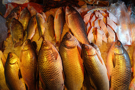 孟加拉国当地市场销售的生鱼展品展示情况背景图片
