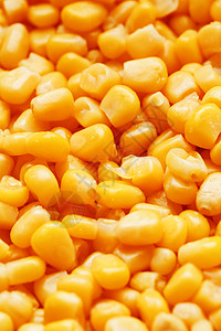 黄金罐头玉米 分布在飞机背景和爆米花纹理上 在观看电影顶级视图之前静物茶点玉米粒框架谷物农场金子小吃画幅生活方式图片