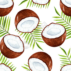 白色背景的无缝结构图案 在白底面上纺织品热带艺术食物叶子坚果打印包装绘画棕榈图片