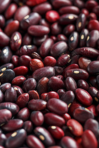 一粒红豆种子的特写镜头 豆类的质地 特写红豆背景 红豆种子豆子画幅水果蔬菜饮食谷物营养粮食农业宏观图片