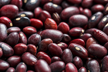 一粒红豆种子的特写镜头 豆类的质地 特写红豆背景 红豆种子粮食豆子小豆水果植物蔬菜宏观谷物画幅农业图片
