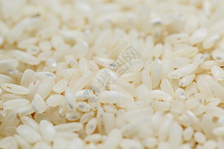 白稻背景和纹理 大米谷物 从上面查看蔬菜食物农场寿司颗粒状花瓣烹饪种子宏观农业图片
