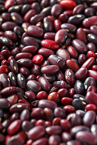 一粒红豆种子的特写镜头 豆类的质地 特写红豆背景 红豆种子画幅蔬菜营养谷物小豆豆子粮食团体饮食宏观图片