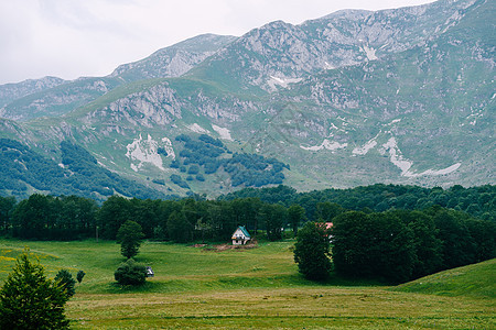 黑山北部高地高原房屋中树木包围着黑山北部的树木图片