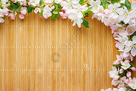 竹子背景的樱花之春花 春天美丽的樱花沙木树丛Sakura桌子植物群木头宏观季节花瓣李子植物框架花园图片