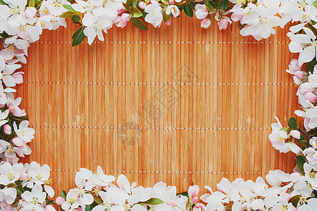 竹子背景下的樱花春花框架 美丽的樱花樱花在春天 低对比度植物李子桌子花瓣园艺宏观花园叶子植物学生长图片