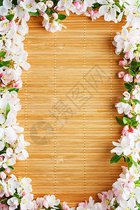 竹子背景的樱花之春花 春天美丽的樱花沙木树丛Sakura季节生长植物学宏观桌子花瓣框架花园木头园艺图片