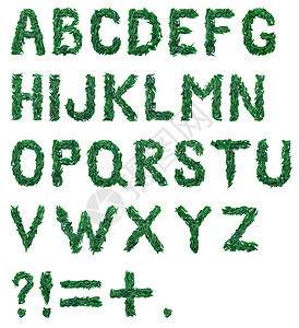 ABC 红色 深粉色和绿色花瓣的字母表 牡丹花瓣的字母表 字母和符号图片