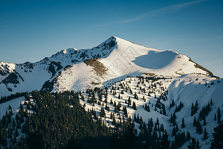 雪峰高山和森林 冬季和春季的寒冬图片