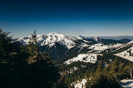 冬山 雪林 蓝天空 春天山脉旅行风景公园顶峰农村树木天空高山墙纸图片