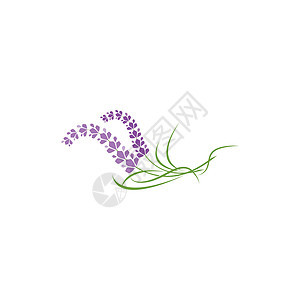 新鲜的淡紫花花徽标矢量平板设计奢华紫色香水草本植物植物薰衣草温泉叶子标识插图图片